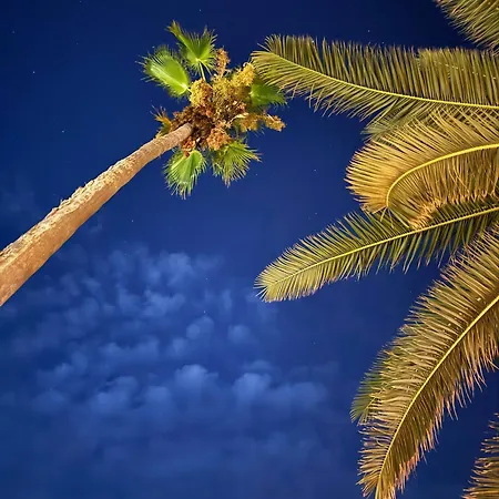 Apartament Rezi's Viewpoint - Steps From The Sea Korčula