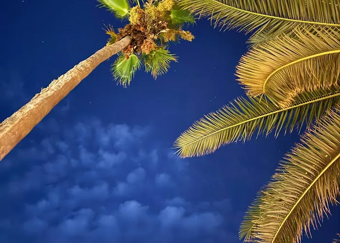 شقة Rezi's Viewpoint - Steps From The Sea كورتْشولا